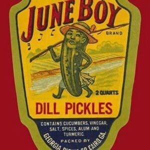 June Boy Dill Pickles #2 - Art Print