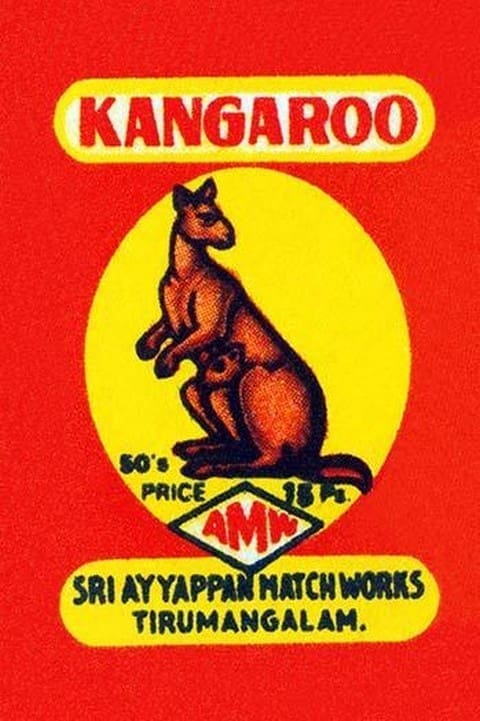 Kangaroo - Art Print