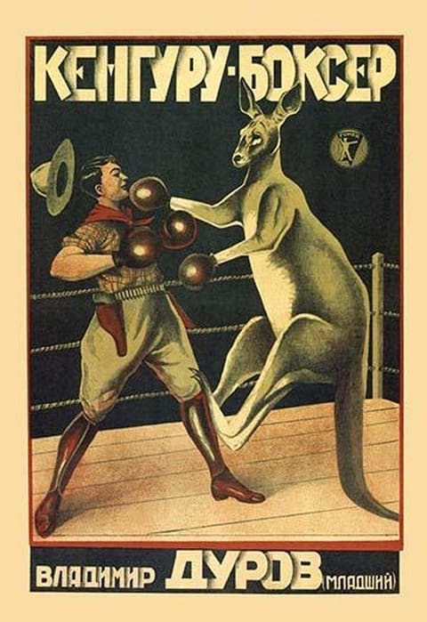 Kangaroo Boxer - Art Print