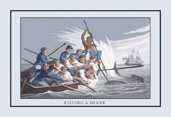 Killing a Shark by Edward Clark - Art Print