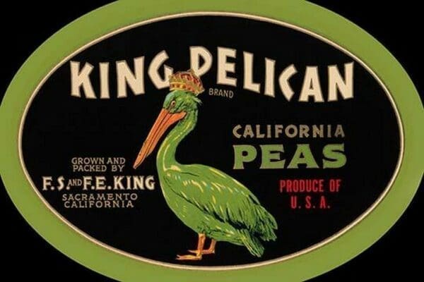 King Pelican California Peas - Art Print