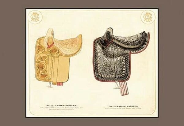 Ladies' Saddles #3 - Art Print