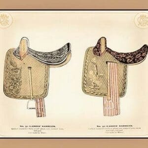 Ladies' Saddles - Art Print