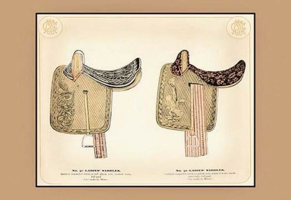 Ladies' Saddles - Art Print