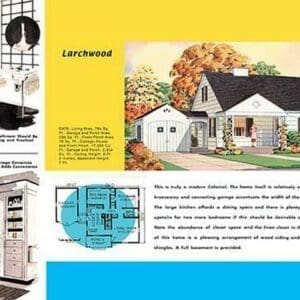 Larchwood - Art Print