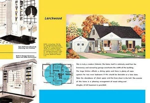 Larchwood - Art Print