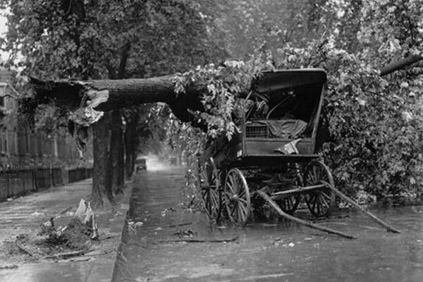 Large Tree Falls and Crushes Horse Drawn Wagon on Road - Art Print