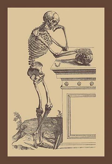 Leaning Skeleton by Andreas Vesalius - Art Print