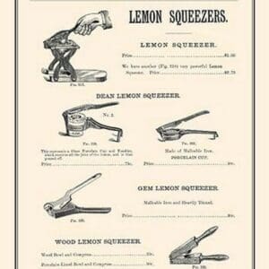 Lemon Squeezers - Art Print