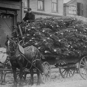 Load of Christmas Trees on Wagon - Art Print