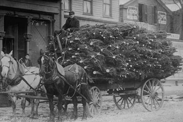 Load of Christmas Trees on Wagon - Art Print