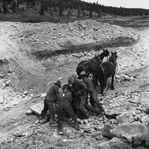 Loading boulder on stone boat by Dorothea Lange - Art Print