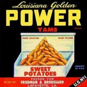 Louisiana Golden Power Yams - Art Print