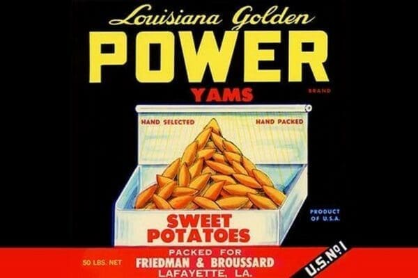 Louisiana Golden Power Yams - Art Print