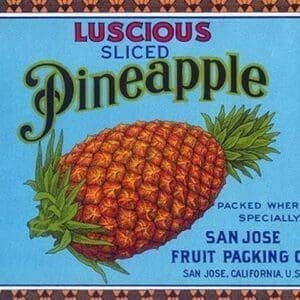 Luscious Sliced Pineapple Packed Where Grown - Art Print