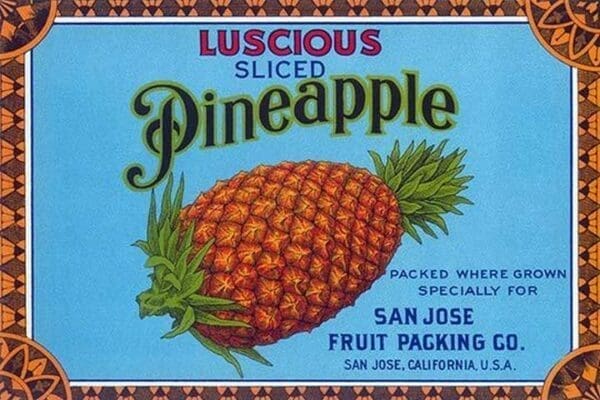 Luscious Sliced Pineapple Packed Where Grown - Art Print