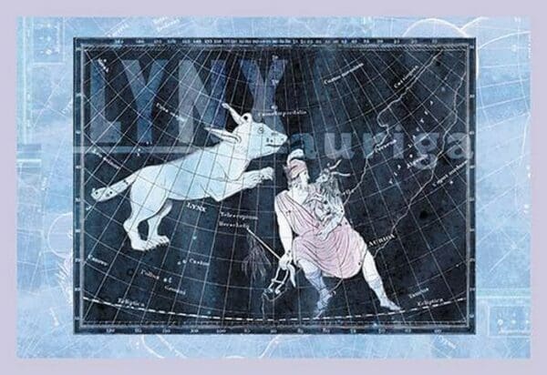 Lynx and Auriga #2 - Art Print