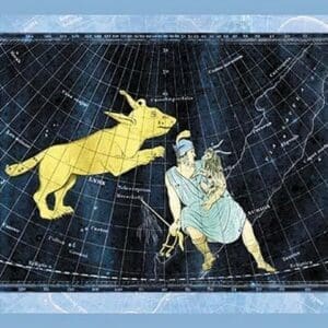 Lynx and Auriga - Art Print