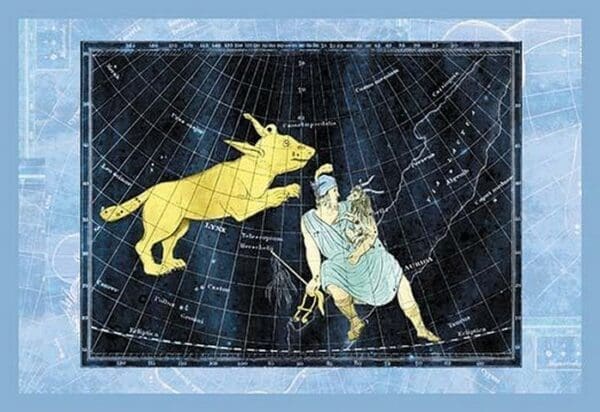 Lynx and Auriga - Art Print