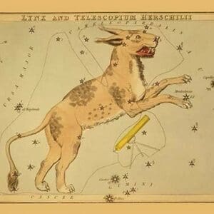 Lynx and Telescopium Herschilii by Aspin Jehosaphat - Art Print