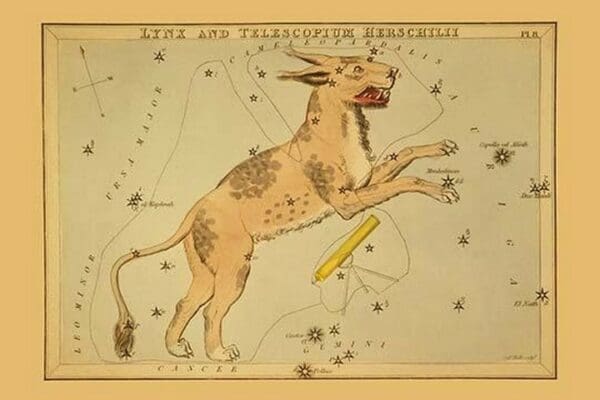 Lynx and Telescopium Herschilii by Aspin Jehosaphat - Art Print