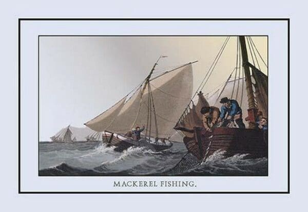 Mackerel Fishing by J.H. Clark - Art Print