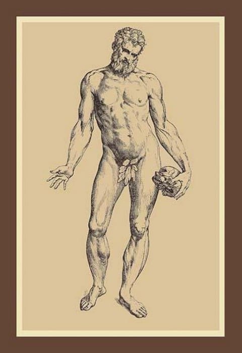 Man by Andreas Vesalius - Art Print