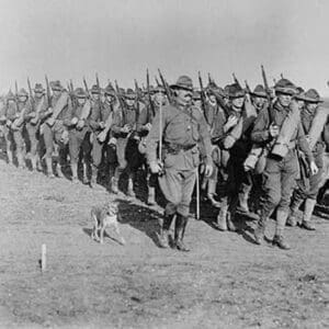 Marching US Infantry in Texas as a mascot dog is near the head of the column - Art Print