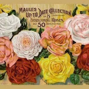 Maule's Up to Date Collection - Art Print