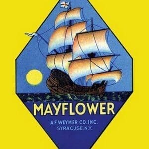 Mayflower - Art Print