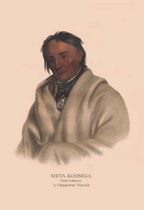 Meta-Koosega (Chippewah Warrior) by Mckenney & Hall - Art Print