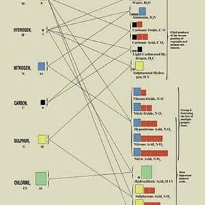 Metalloids And Their Compounds by Edward L. Youmans - Art Print