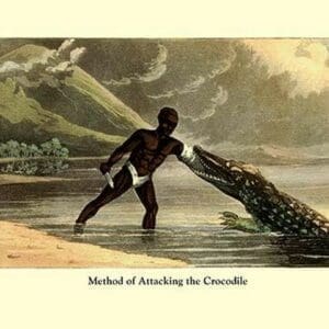 Method of Attacking the Crocodile - Art Print