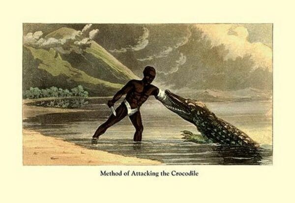 Method of Attacking the Crocodile - Art Print