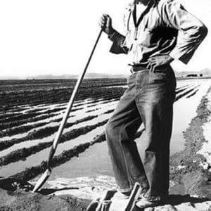 Migrant Irrigator by Dorothea Lange - Art Print