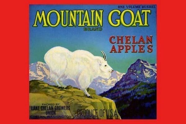 Mountain Goat Chelan Apples - Art Print