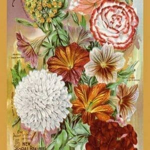 My Bouquet Collection of Five New Floral Beauties - Art Print