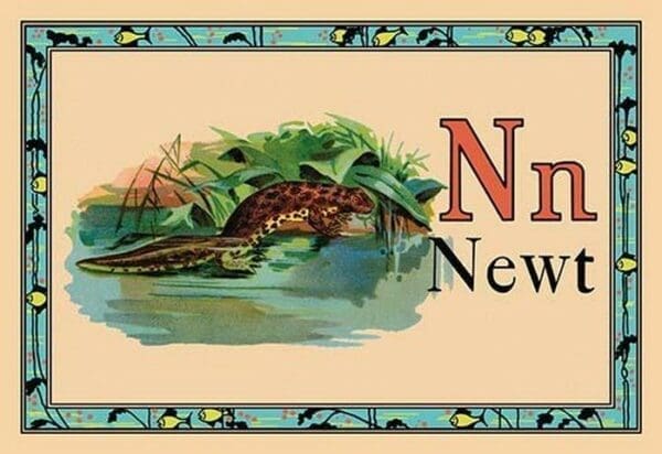 Newt - Art Print