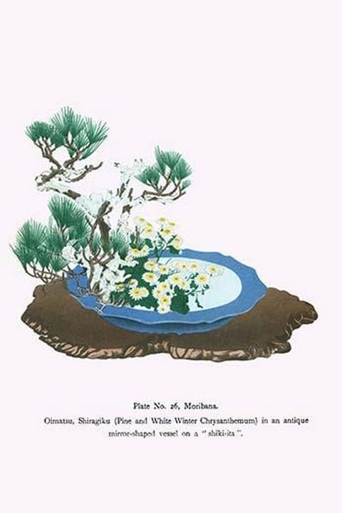 Oimatsu & Shiragiku (Pine and White Winter Chrysanthemum) in an Antique Mirror Shaped Vessel by Josiah Conder - Art Print