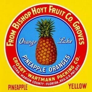 Orange Lake Pineapple Oranges #2 - Art Print