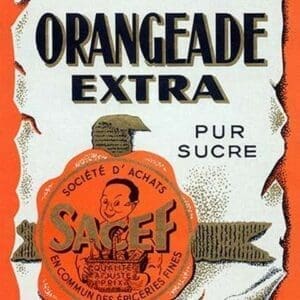 Orangeade Extra - Art Print