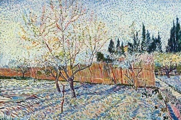 Orchard by Vincent van Gogh - Art Print