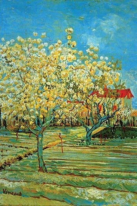 Orchard with Cypress by Vincent van Gogh - Art Print