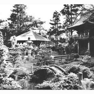 Oriental Tea Garden