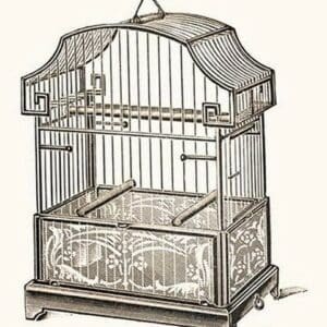 Ornate Black Bird Cage A - Art Print