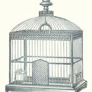 Ornate Black Bird Cage C - Art Print