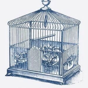 Ornate Blue Bird Cage E - Art Print