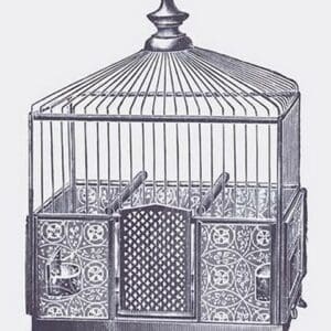 Ornate Blue Bird Cage G - Art Print