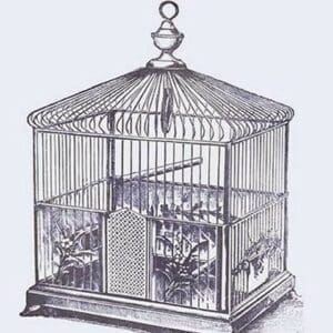 Ornate Blue Bird Cage L - Art Print