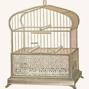 Ornate Green Bird Cage A - Art Print